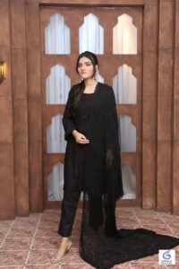 Alishba professional model portrait featuring beauty, confidence, and modern fashion style