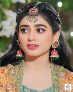 Sehar Khan at a professional photoshoot, the acclaimed Pakistani television actress famous for her memorable drama roles and elegant on-screen presence.