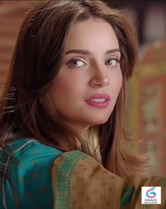 Armeena Khan posing gracefully in a stylish portrait highlighting her elegant fashion and confident personality