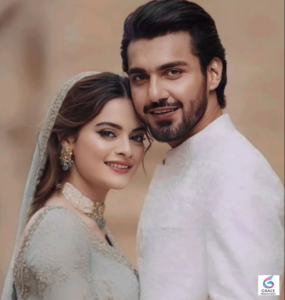 Elegant portrait of Pakistani actress Minal Khan in a fashionable outfit with a graceful and confident look.