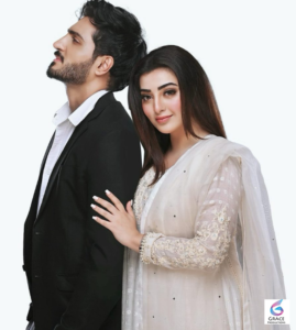 Nawal Saeed elegant look and Pakistani drama actress career highlights