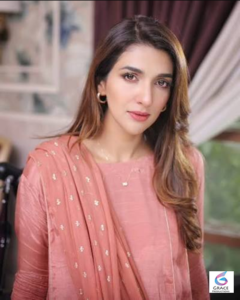 Pakistani television actress Rabab Hashim captured in a stunning portrait, wearing a stylish traditional outfit with a warm smile.