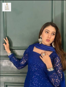 Rahat Ghani Pakistani actress showcasing her elegant look and successful television career