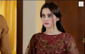 Aiman Khan and Junaid Khan in Ishq Tamasha drama