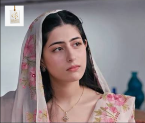 Anam Hussain in a graceful Pakistani television actress portrait