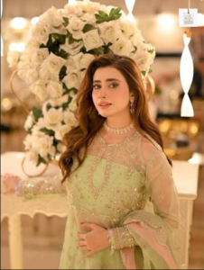 Ayesha Afridi Pakistani actress posing for a professional photoshoot