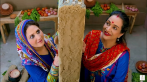 Veteran Pakistani actress Bushra Ansari in a graceful portrait