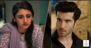 Dania Enwer elegant look in Pakistani drama industry latest photos
