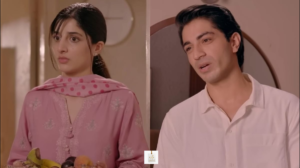 Marwa Hussain opens up about her role in Jama Taqseem and joint family struggles