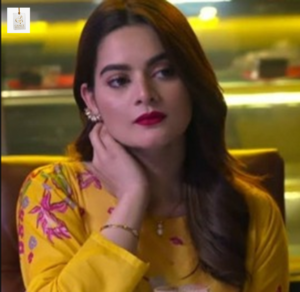 Minal Khan and Danish Taimoor in Ishq Hai drama