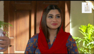 Misbah Mumtaz actress showcasing her graceful style and journey in Pakistani television dramas