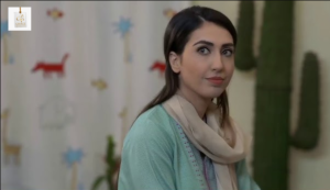 Rabia Javaid Sheikh in a stylish Pakistani entertainment look