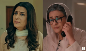 Saba Hameed elegant portrait showcasing the veteran Pakistani actress