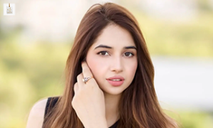 Sabeena Farooq actress profile photo highlighting her graceful appearance and television career