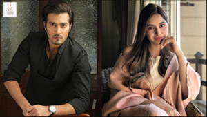 Sabeena Farooq latest portrait showcasing the Pakistani television actress’s elegant style and personality
