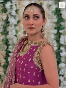 Sana Askari Pakistani actress profile showcasing her career, beauty, and entertainment journey