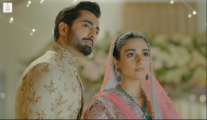 Sarah Khan’s Sher drama appearance and memorable scenes with Danish Taimoor