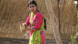 Urwa Hocane as Meera in the Pakistani drama Udaari