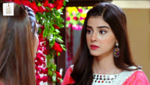 Zainab Shabbir and Mirza Zain Baig together in Yaar Na Bichray