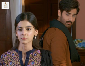 Pakistani actress Zainab Shabbir in a memorable scene from Yaar Na Bichray