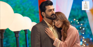 Aruba Mirza’s memorable performance in Rang Mahal drama