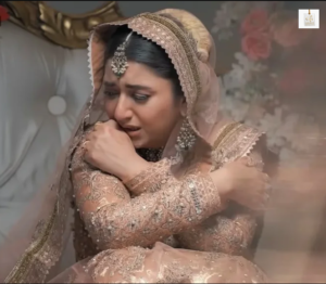 Dania Enwer’s role and journey in the drama Habs