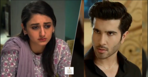 Dania Enwer from the Pakistani drama Habs with co-star Feroze Khan