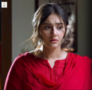 Durefishan Saleem shares her experience of Kaisi Teri Khudgarzi with Danish Taimoor