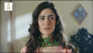 Hina Afridi and Ali Raza in Mirza Ki Heer drama