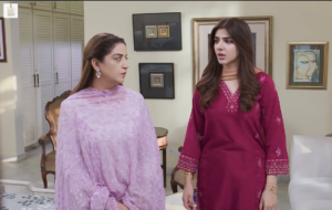 Vaneeza Sattar and Arslan Butt featured together in Ladli