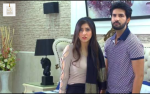 Maryam Nafees during her Munafiq drama journey