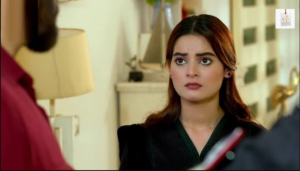 Minal Khan and Shehroz Sabzwari in Nand drama