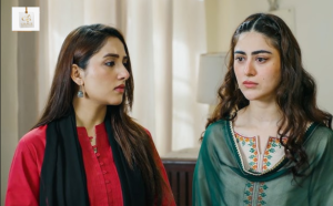 Hina Afridi and Ali Raza share a scene in Mirza Ki Heer
