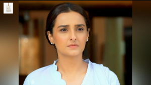 Momal Sheikh and Faisal Qureshi in Dil-e-Momin