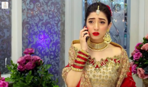 Maryam Nafees portrait from her Pakistani television career