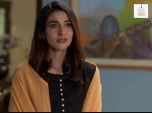 Rabab Hashim and Syed Jibran in Meray Mohsin drama
