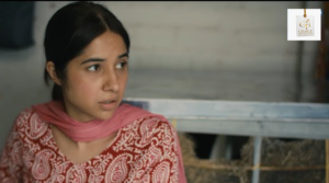Sabeena Farooq and Bilal Abbas Khan in Mann Jogi drama
