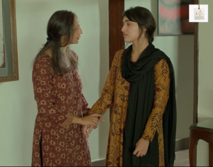 Sehar Hashmi and Shehzad Sheikh portray key characters in Zulm