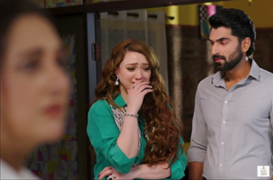 Rabab Hashim and Syed Jibran portraying their characters in Meray Mohsin