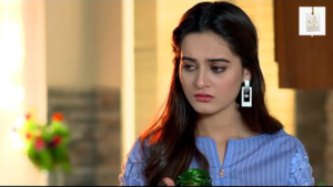 Aiman Khan and Hassan Ahmed in the Pakistani drama Hari Hari Churiyan.