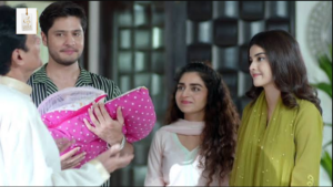 Hajra Yamin alongside Ali Abbas in Meri Apnay drama