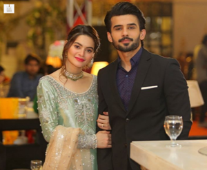 Minal Khan and Fahad Sheikh’s memorable roles in ARY Digital’s drama Jalan.