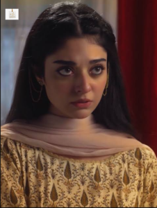 Noor Zafar Khan and Arsalan Naseer in the Pakistani drama Pas-e-Deewar.