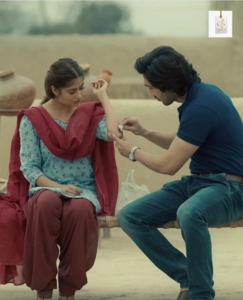 Sajal Aly and Hamza Sohail sharing the screen in Zard Patton Ka Bunn, highlighting their performances and on-screen chemistry.