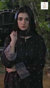 Sarah Khan and Imran Ashraf drama connection sparks questions about Namak Haram.