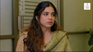 Sonya Hussyn and Sami Khan in Saraab drama