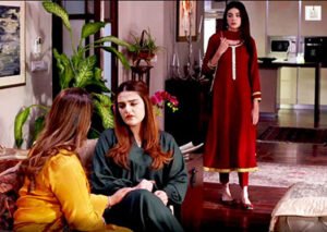 Shazeal Shoukat shines in a memorable Teri Rah Mein scene
