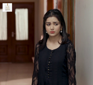 Tuba Anwar and Afraz Rasool in Bichoo drama