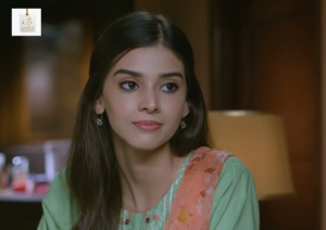 Zainab Shabbir and Mirza Zain Baig in Fareb drama