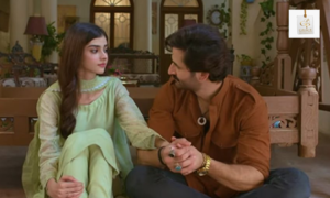 Zainab Shabbir’s performance alongside Mirza Zain Baig in Fareb.